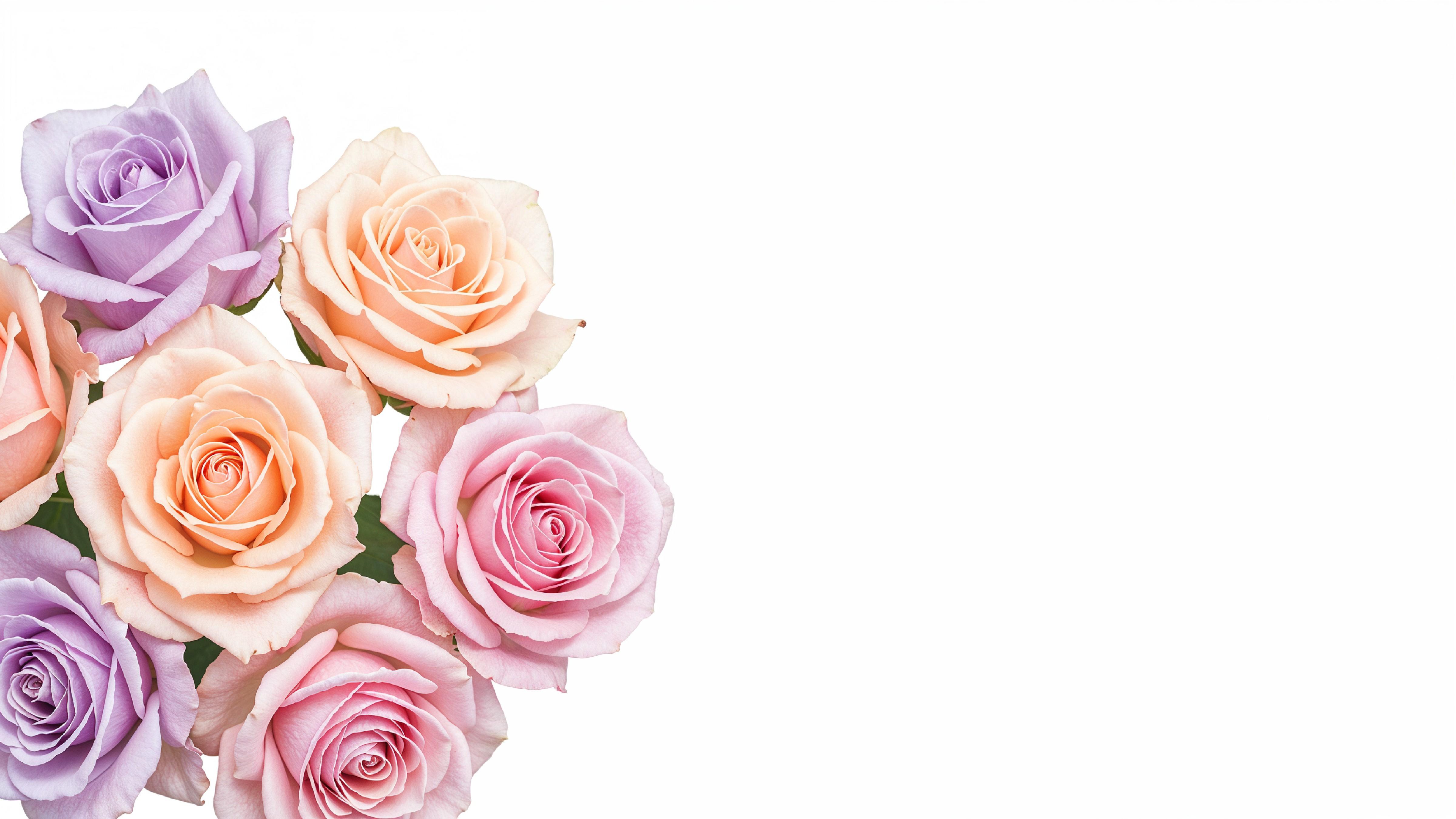 Dreamy Watercolor Pastel Rose Bouquet Illustration