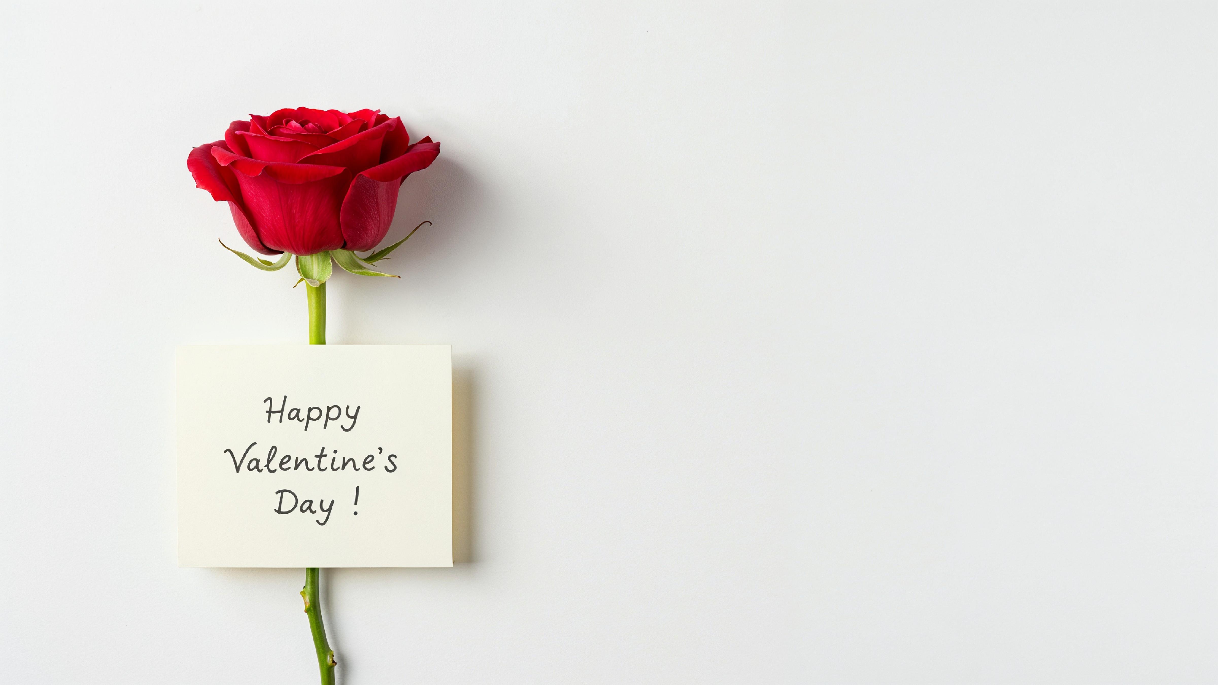 Single Red Rose with Love Note on Minimal White Background