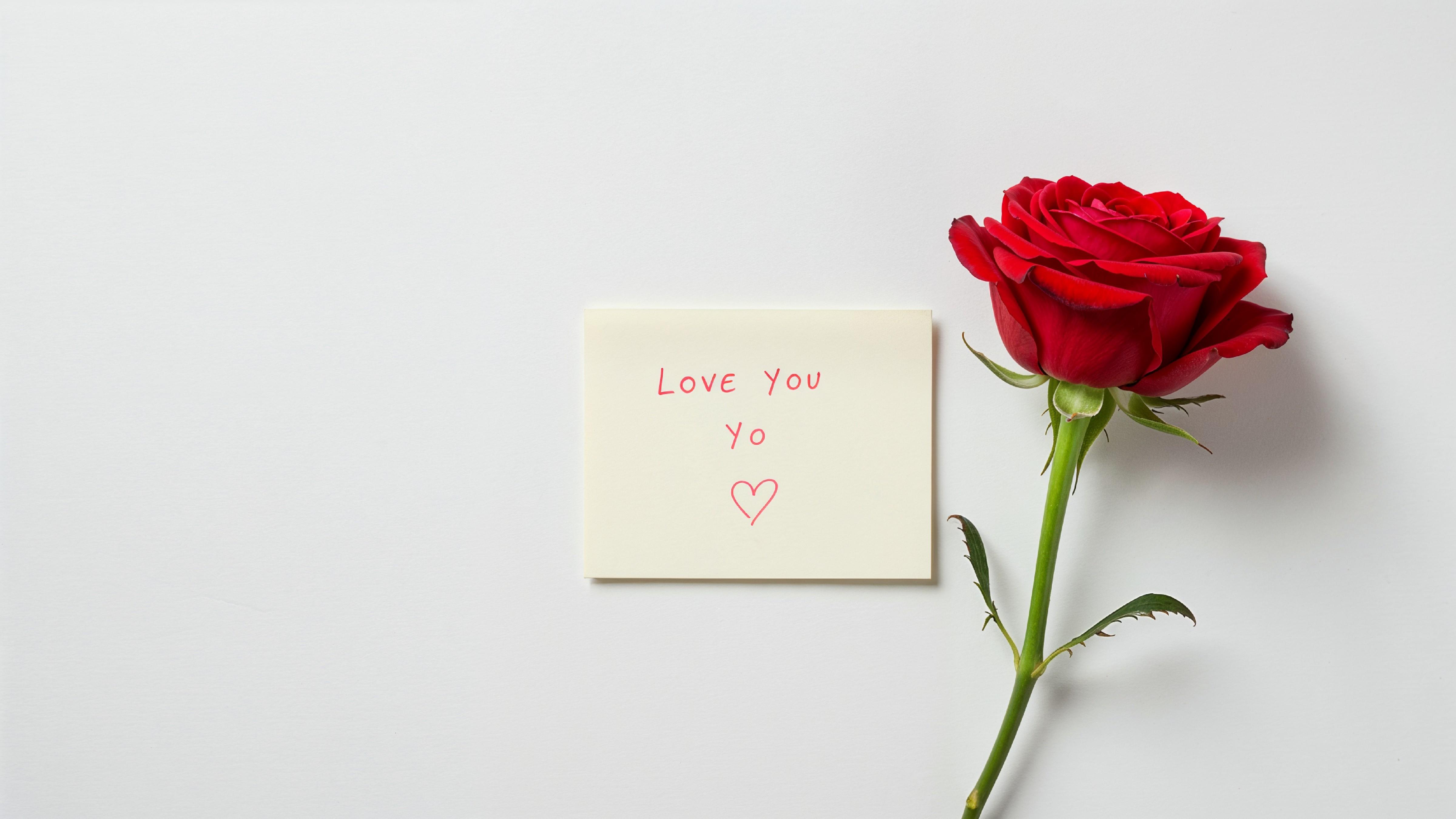 Single Red Rose with Love Note on Minimal White Background