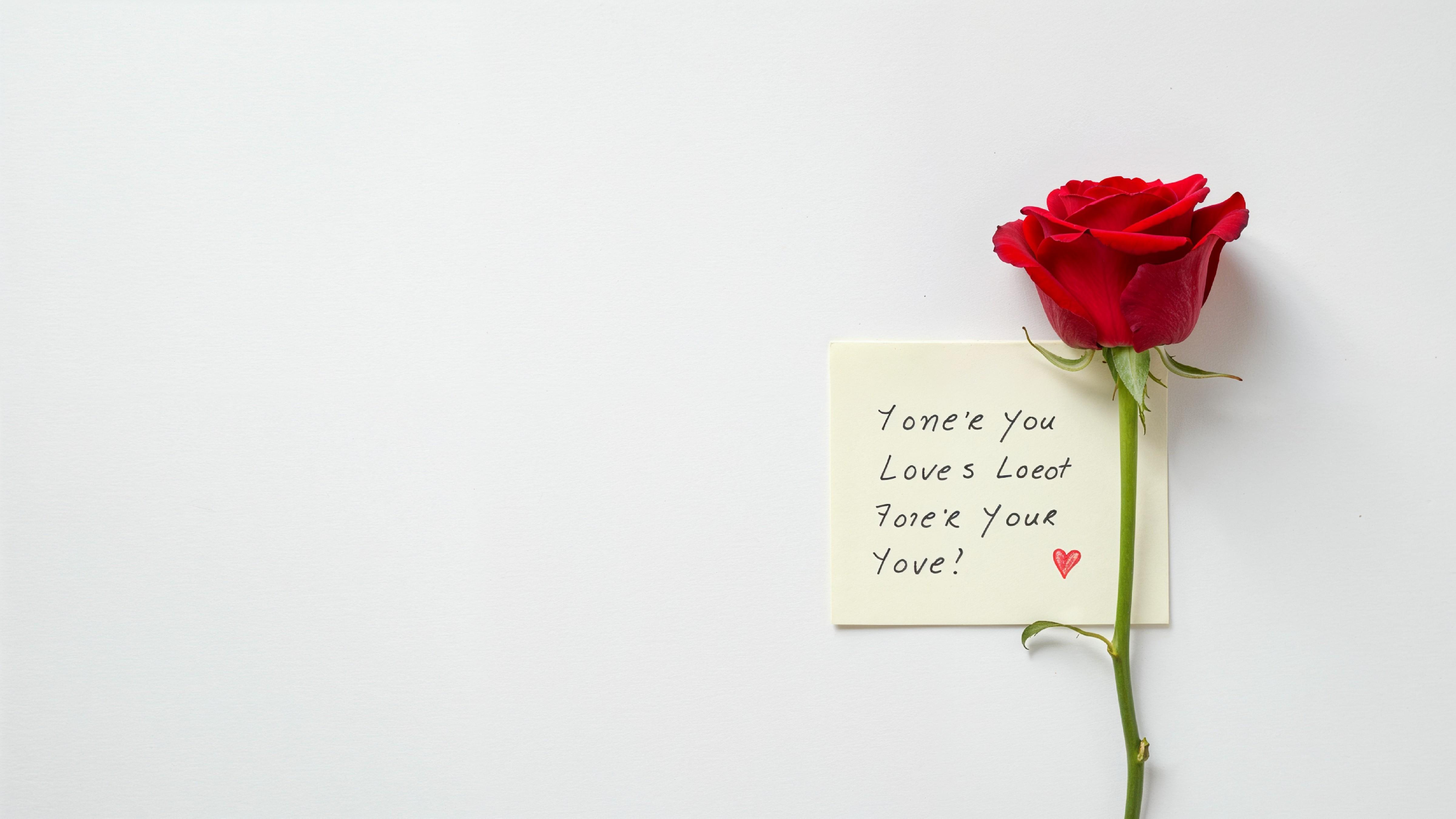 Single Red Rose with Love Note on Minimal White Background