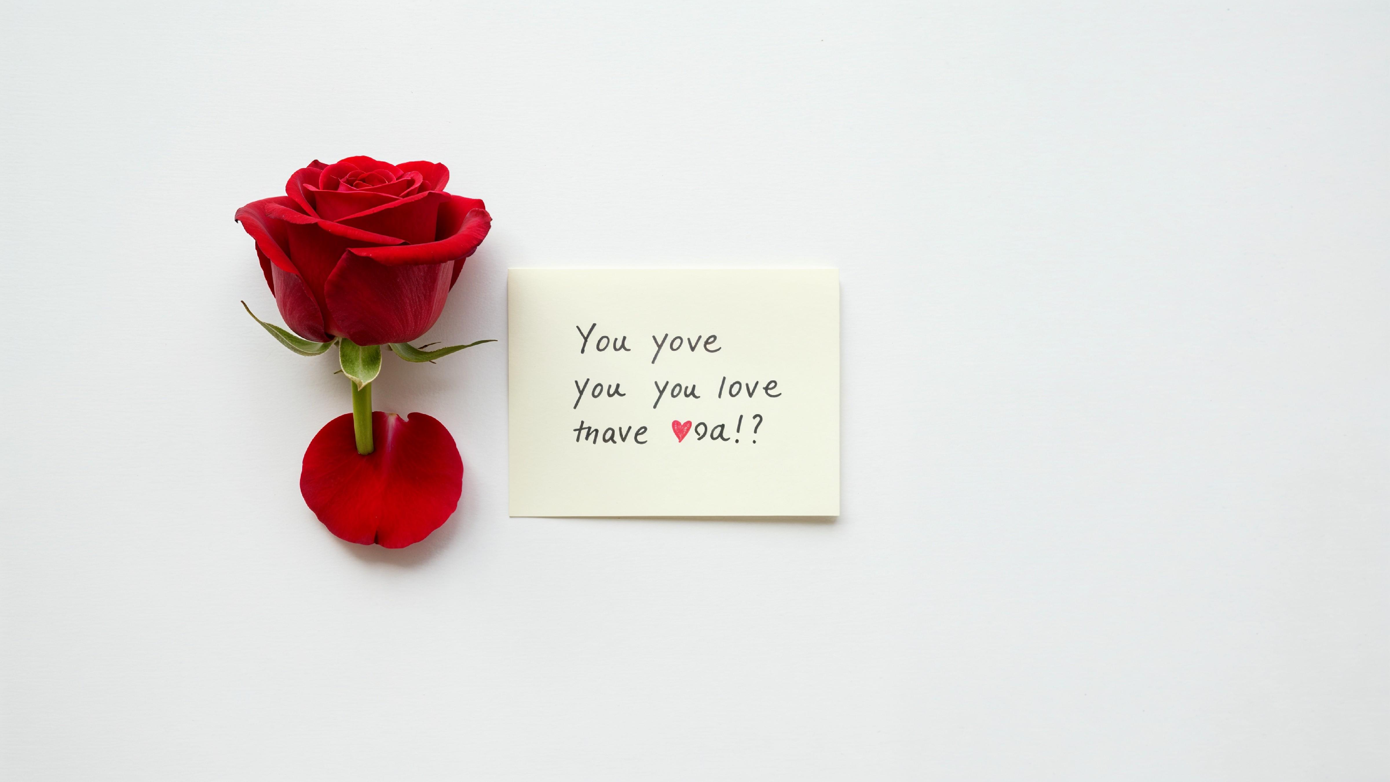 Single Red Rose with Love Note on Minimal White Background