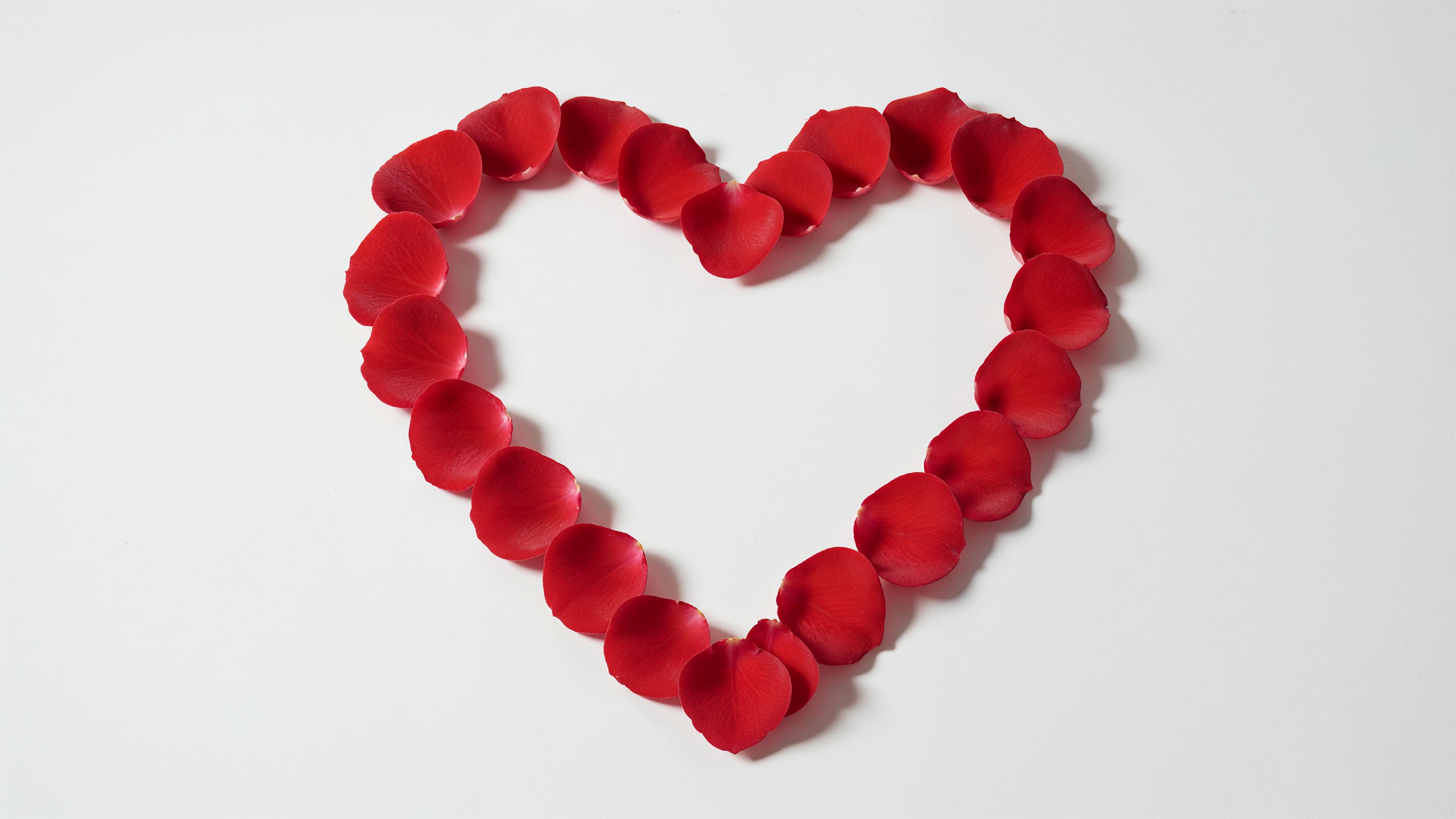 Heart Shape Made of Red Rose Petals on White Background