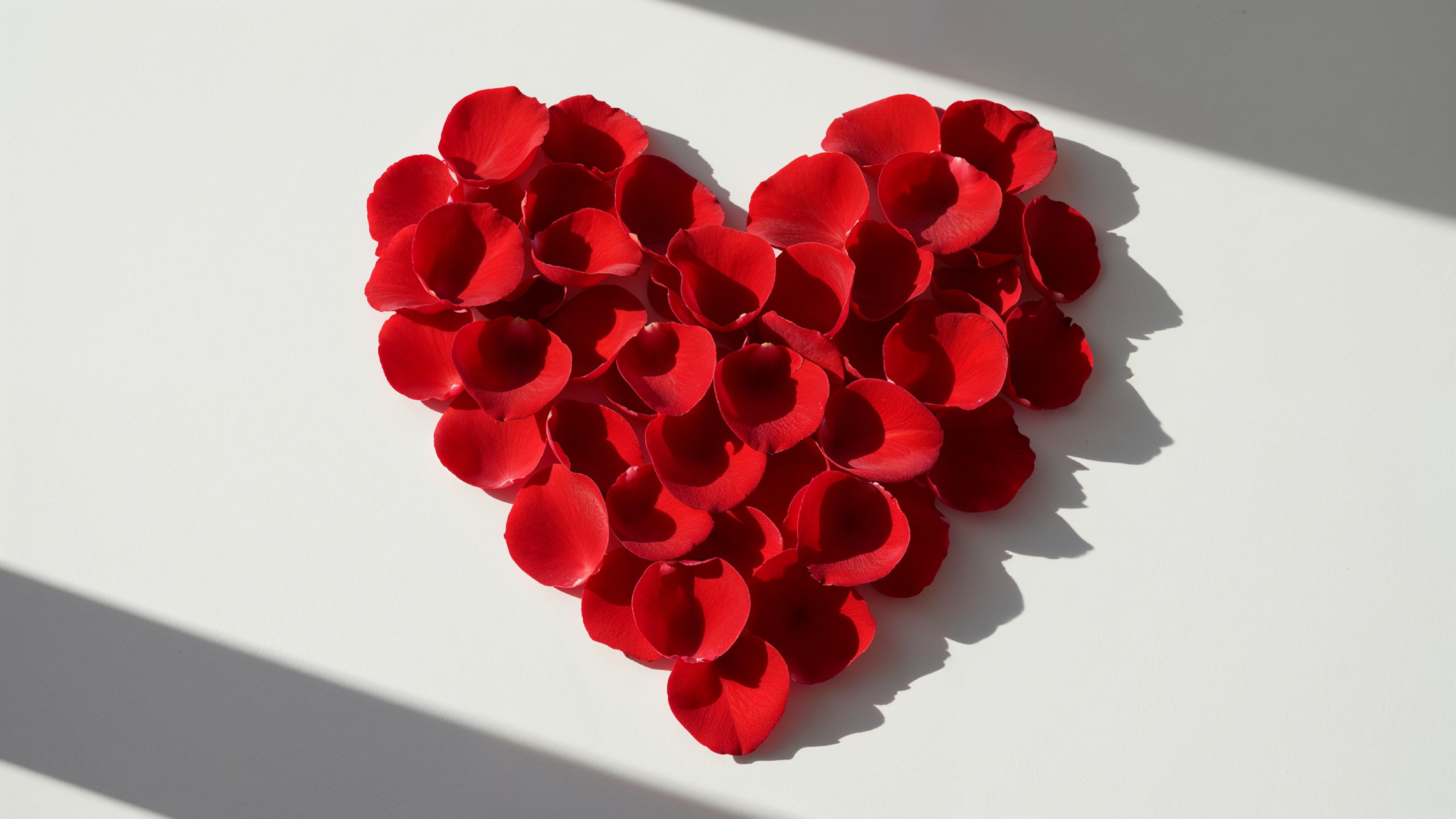 Heart Shape Made of Red Rose Petals on White Background