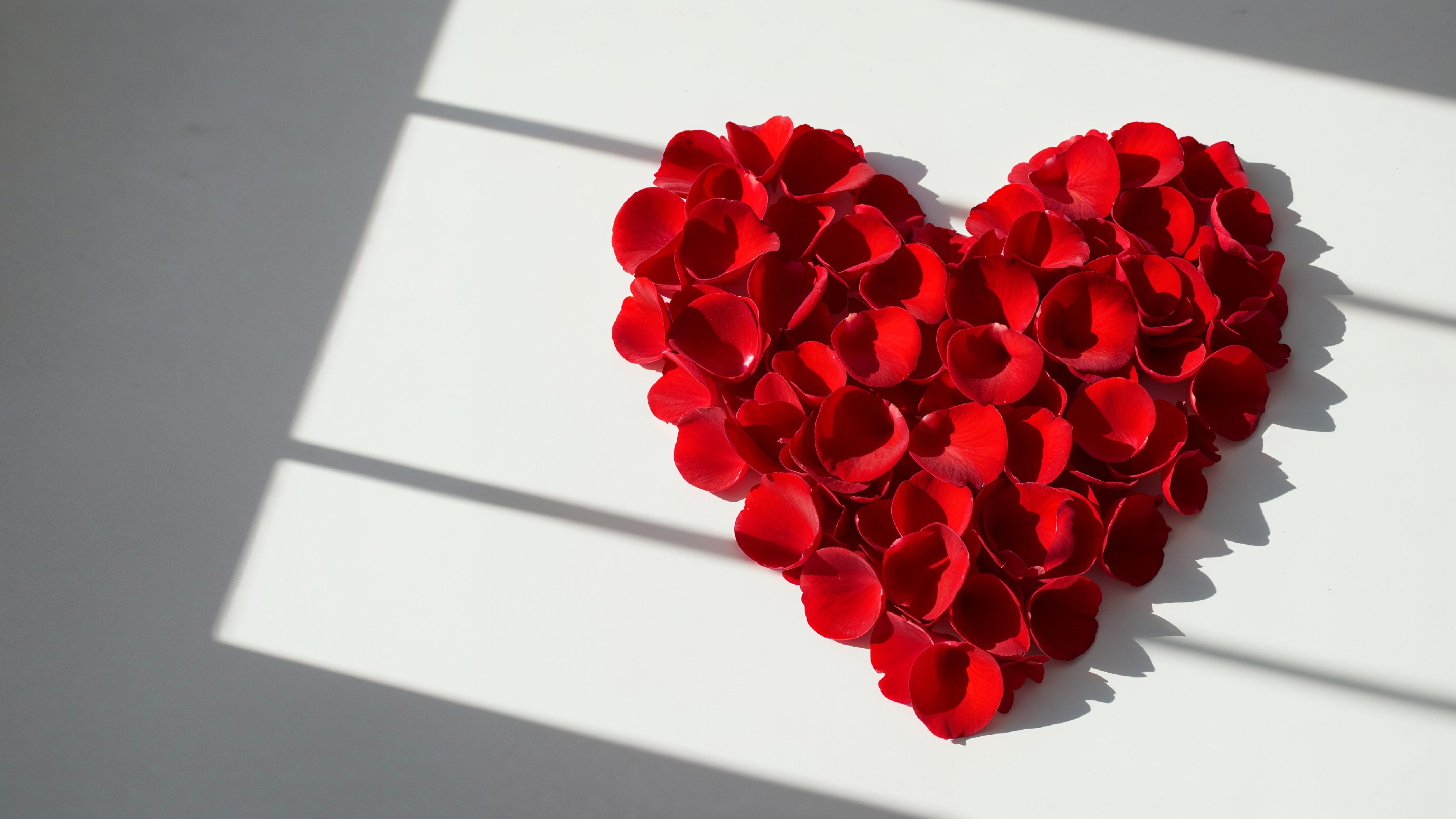 Heart Shape Made of Red Rose Petals on White Background