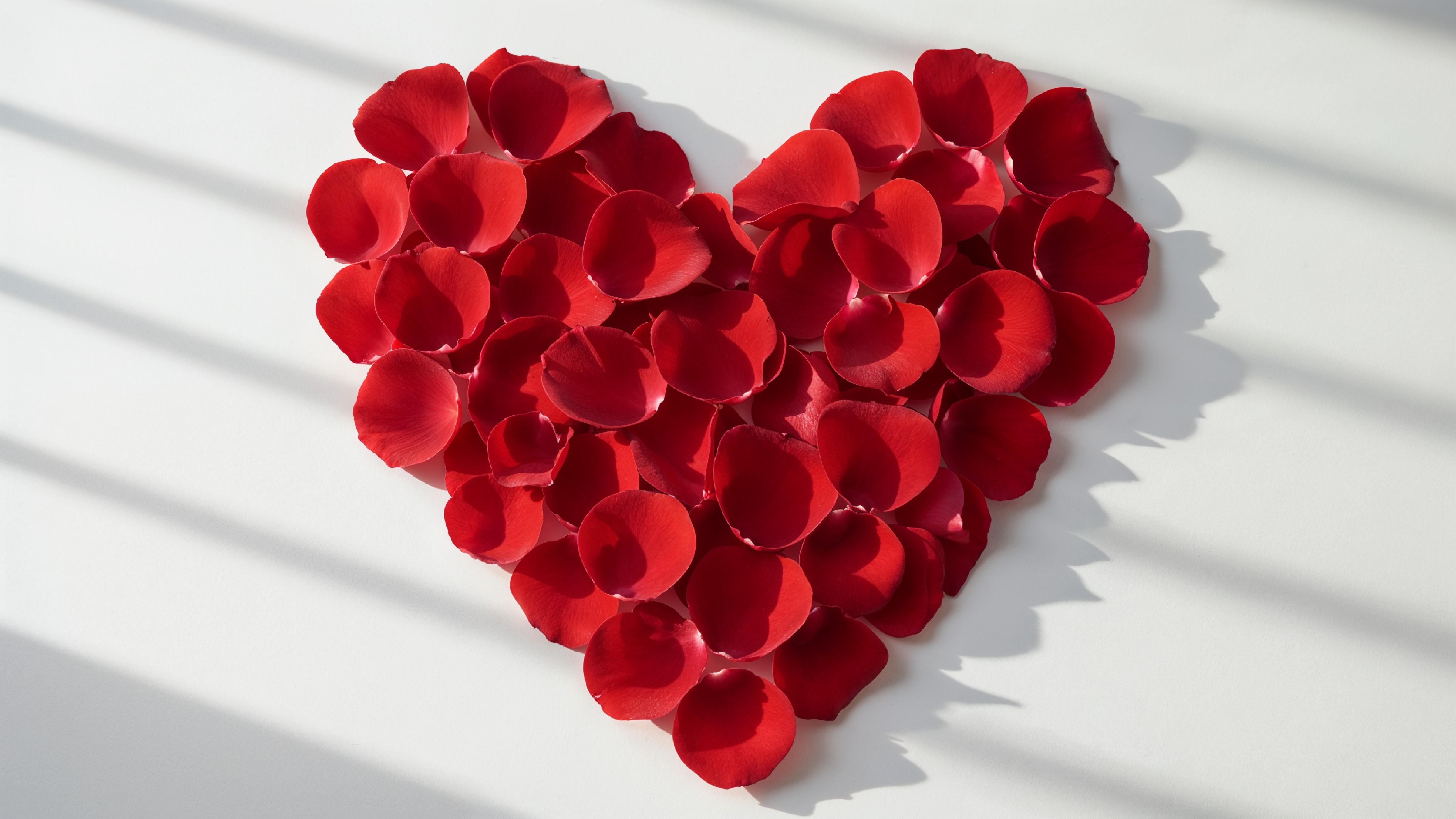 Heart Shape Made of Red Rose Petals on White Background