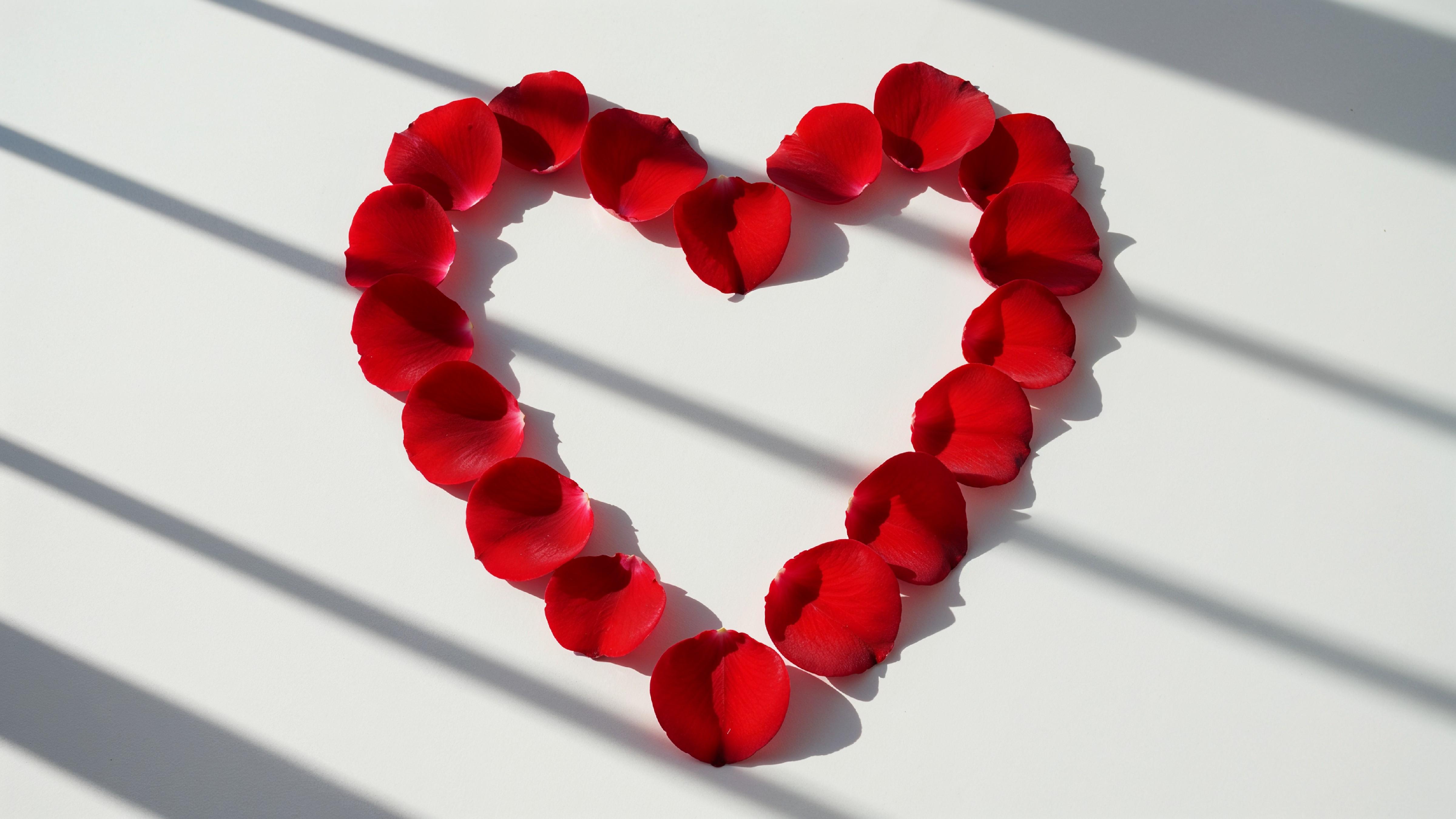 Heart Shape Made of Red Rose Petals on White Background