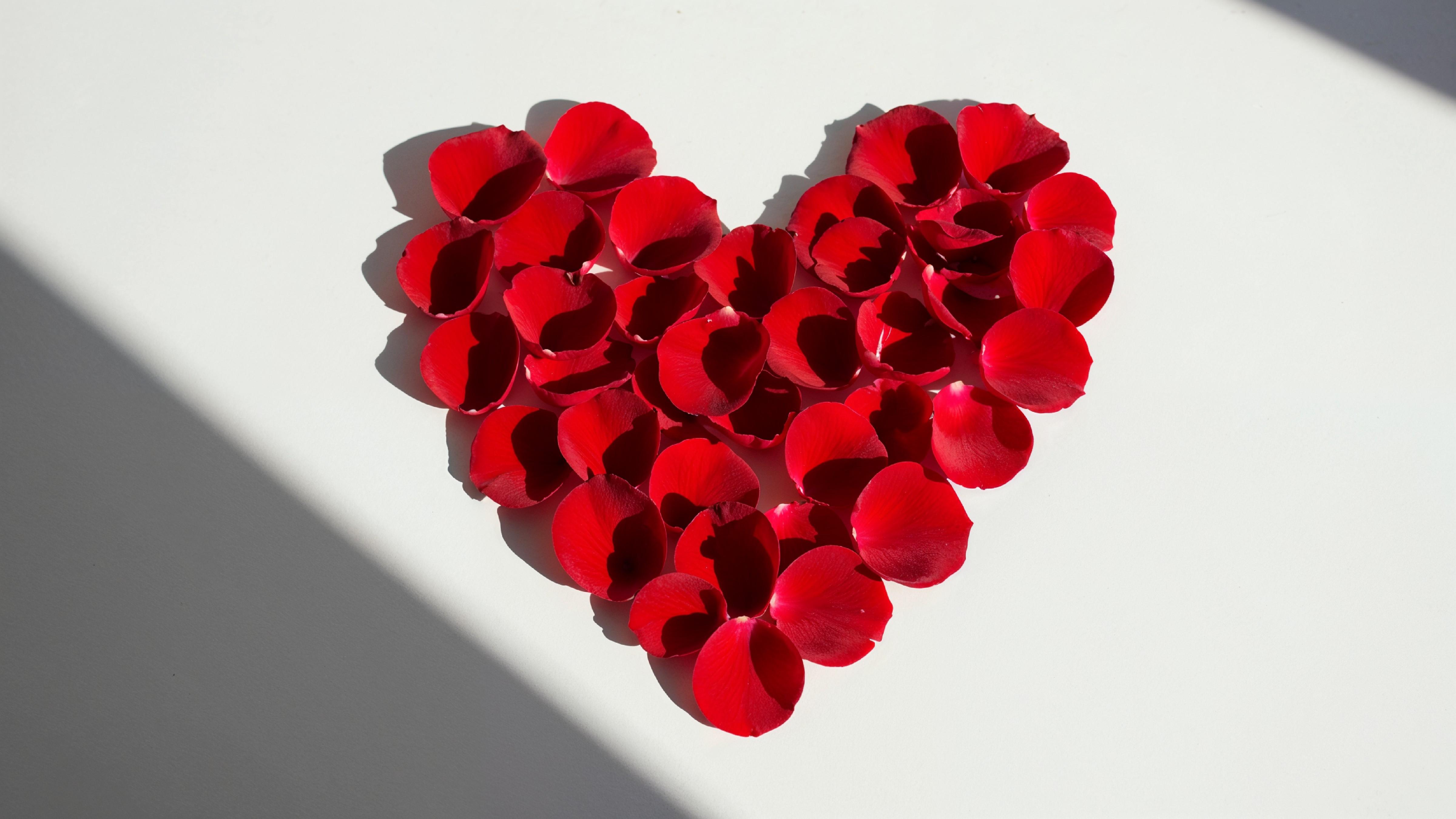 Heart Shape Made of Red Rose Petals on White Background