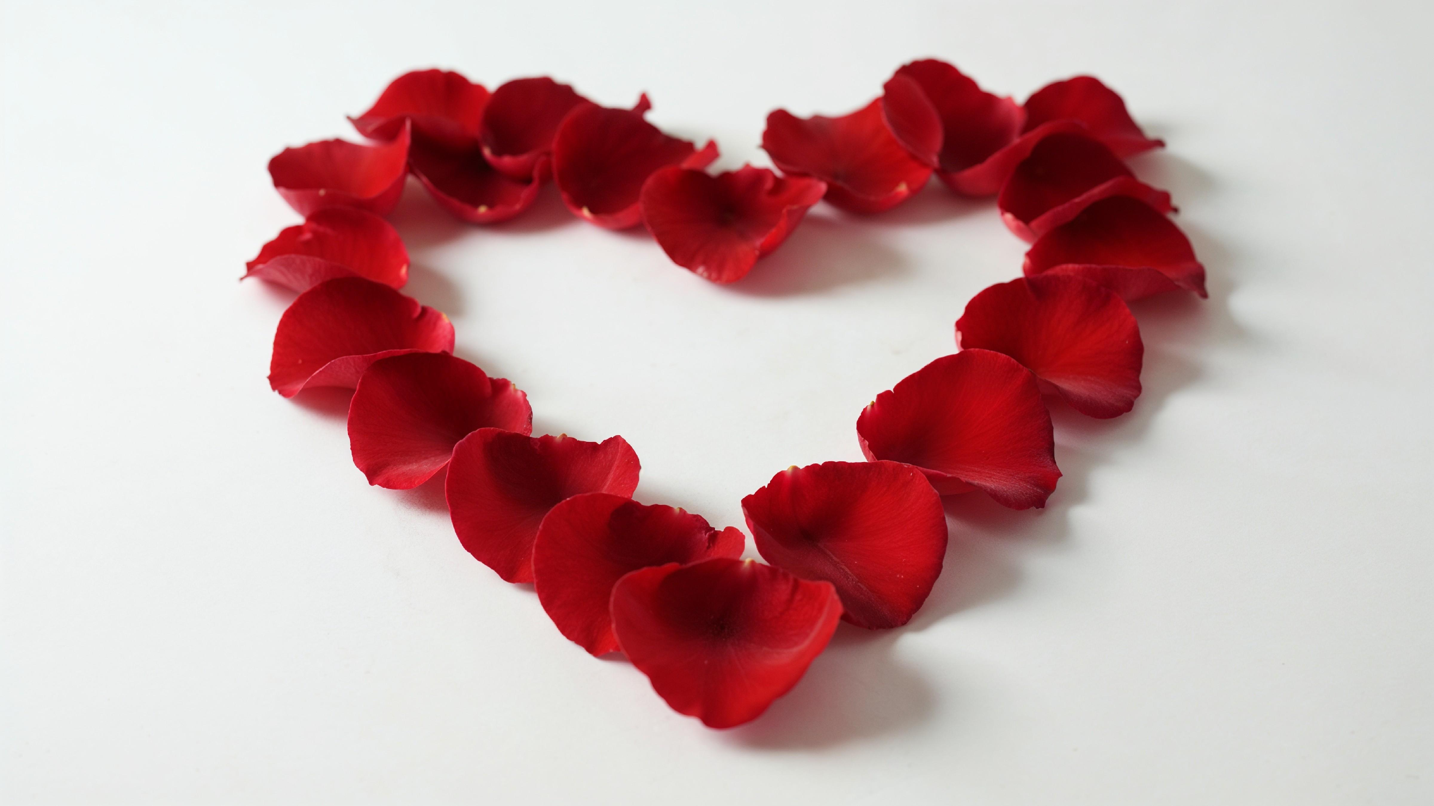 Heart Shape Made of Red Rose Petals on White Background