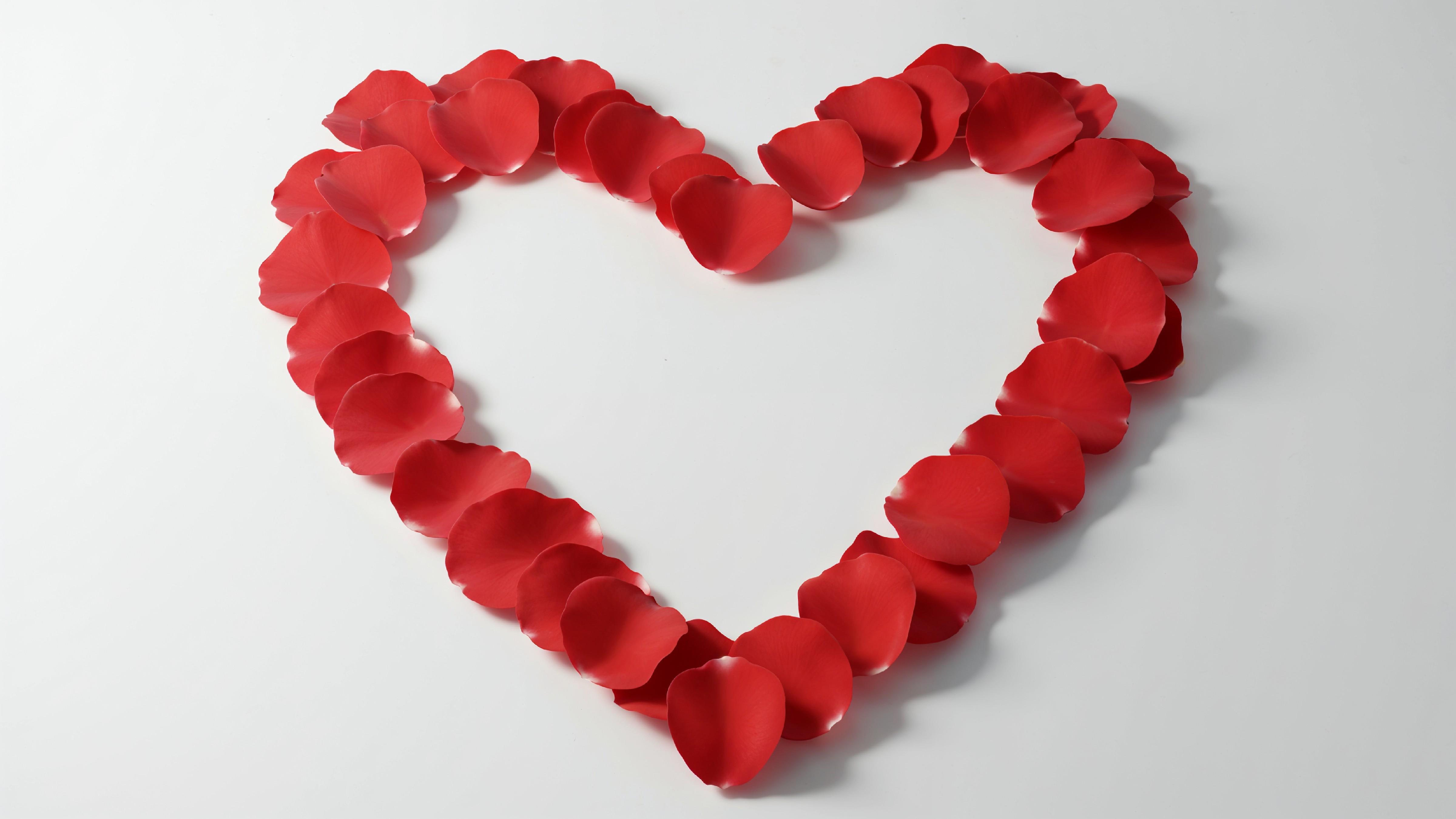Heart Shape Made of Red Rose Petals on White Background