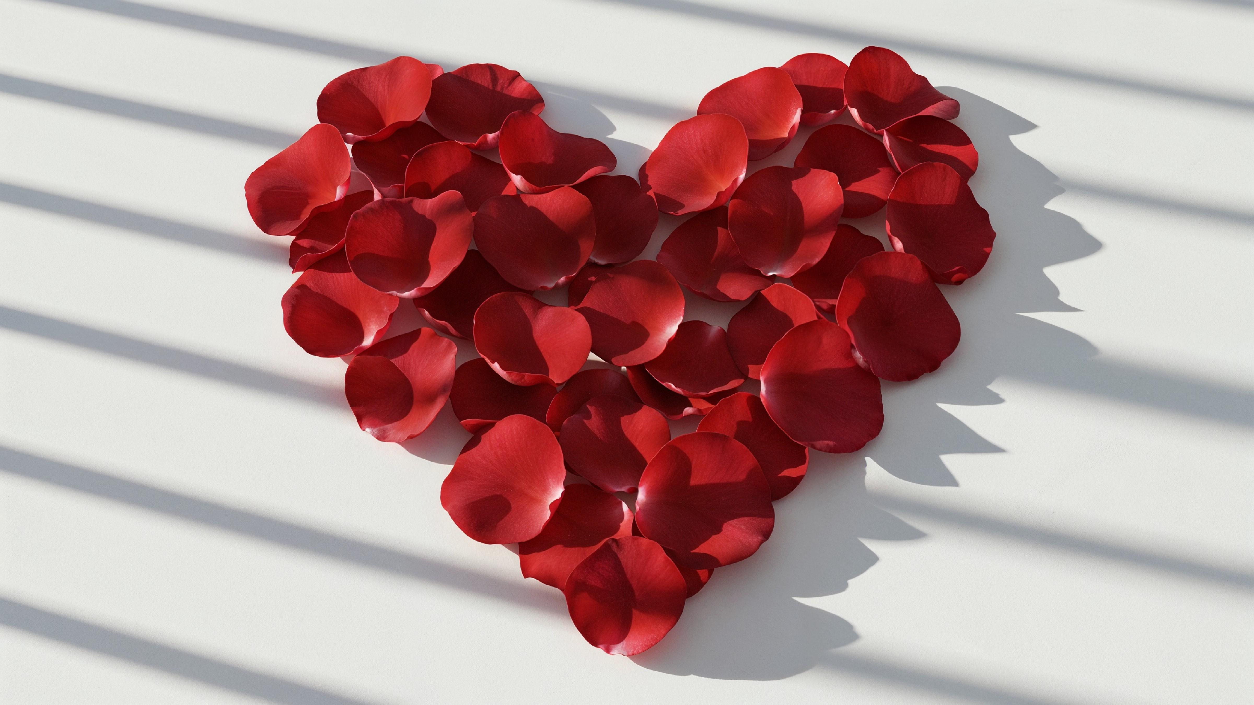 Heart Shape Made of Red Rose Petals on White Background